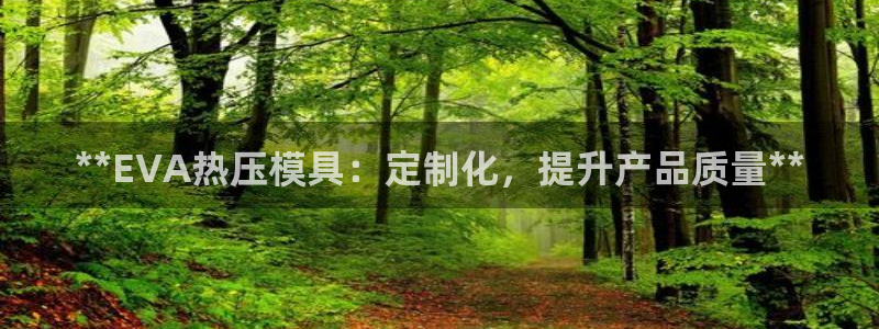 emc下载：**EVA热压模具：定制化，提升产品质量**