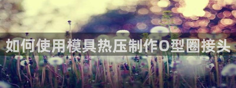 emc易倍