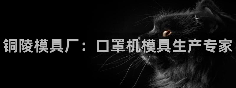 四川易倍易企业管理有限公司