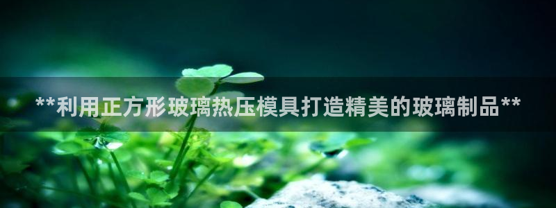 易倍单词app