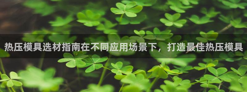 易倍电竞,有球必应：热压模具选材指南在不同应用场景下，打