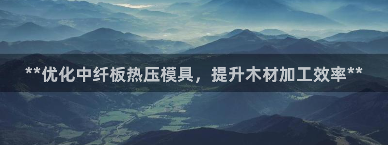 易倍申竞品：**优化中纤板热压模具，提升木材加工效率**