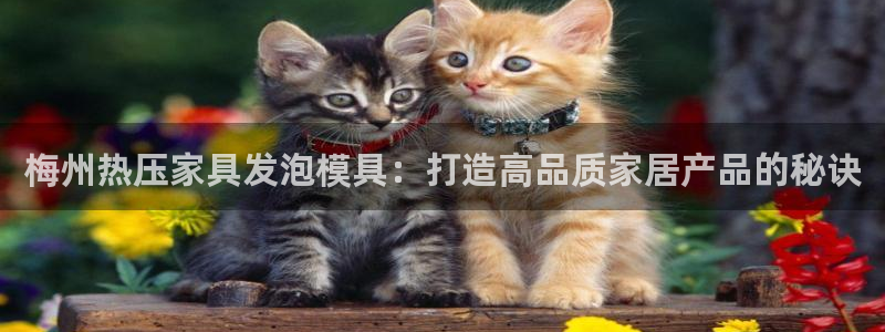 易倍申生产厂家
