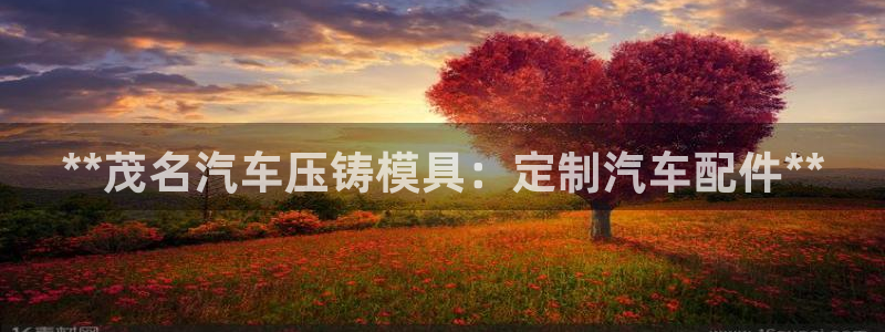 易倍单词官方网站的：**茂名汽车压铸模具：定制汽车配件*