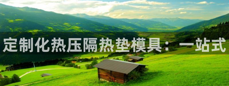 emc易倍官网登录首页：定制化热压隔热垫模具：一站式