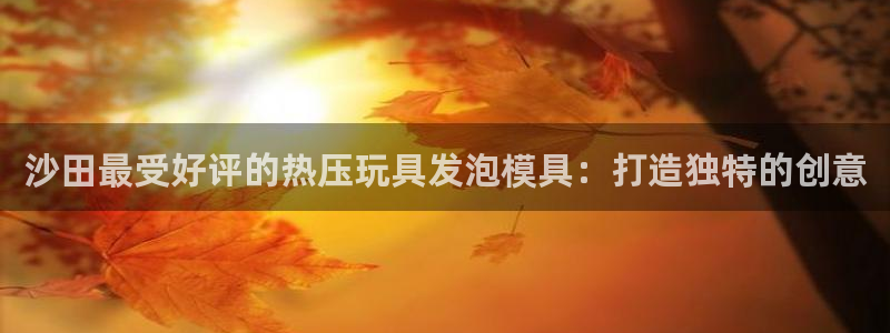 emc32软件安装：沙田最受好评的热压玩具发泡模具：打造