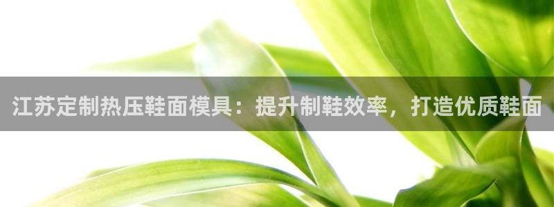 emc频率范围：江苏定制热压鞋面模具：提升制鞋效率，打造