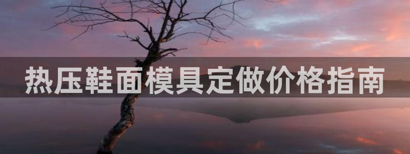 上海易倍投资有限公司：热压鞋面模具定做价格指南