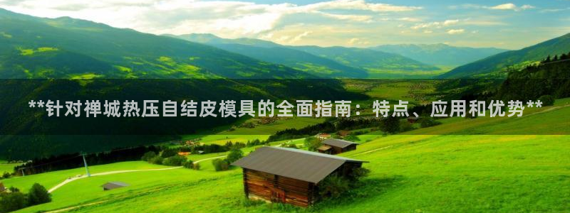 易倍达科技有限公司招聘：**针对禅城热压自结皮模具的全面