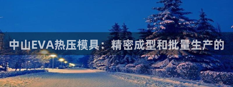 易倍网络技术有限公司是干嘛的：中山EVA热压模具：精密成