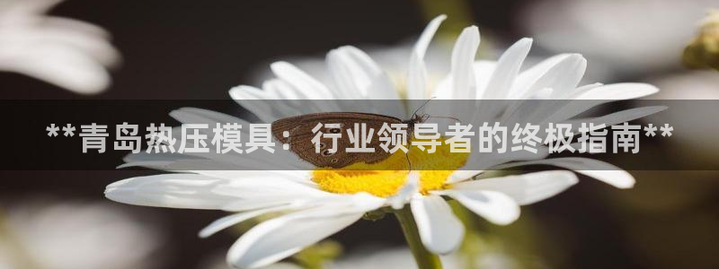易倍全站下载：**青岛热压模具：行业领导者的终极指南**
