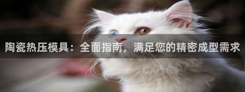 emc32软件安装：陶瓷热压模具：全面指南，满足您的精密