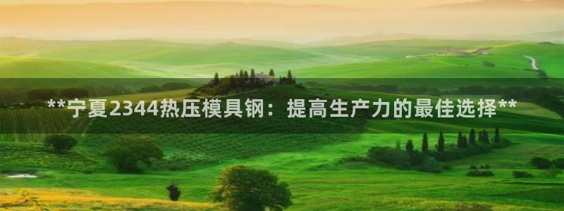 易倍申在中国成功上市：**宁夏2344热压模具钢：提高生