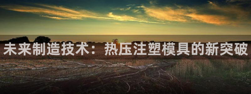 EMC易倍官方平台：未来制造技术：热压注塑模具的新突破