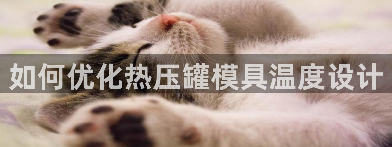 易倍单词官方网站下载安卓