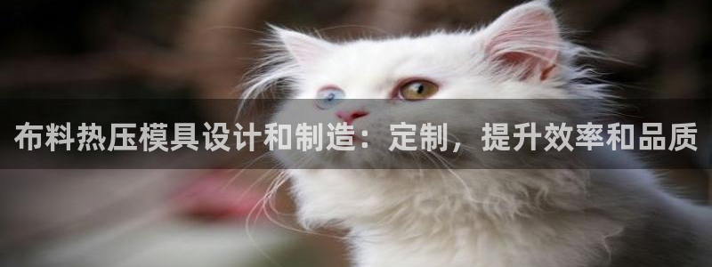 emc 倍频：布料热压模具设计和制造：定制，提升效率和品