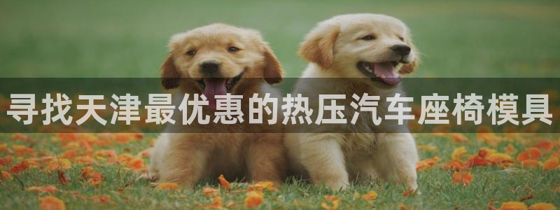 emc易倍官网