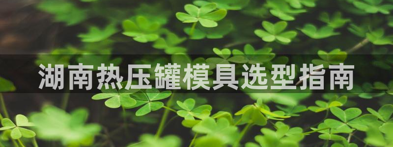 易倍申医保报销