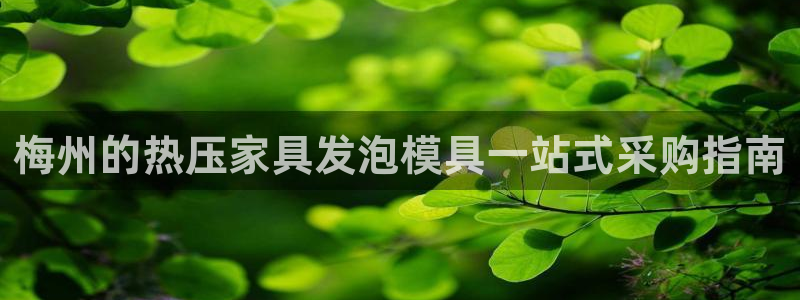 易倍纤谷物粉效果好吗