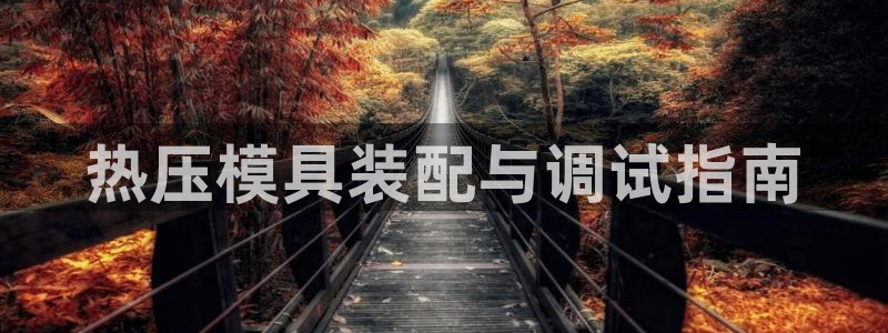 易倍申竞品