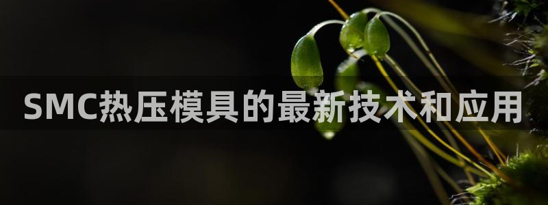 易倍申安理申区别