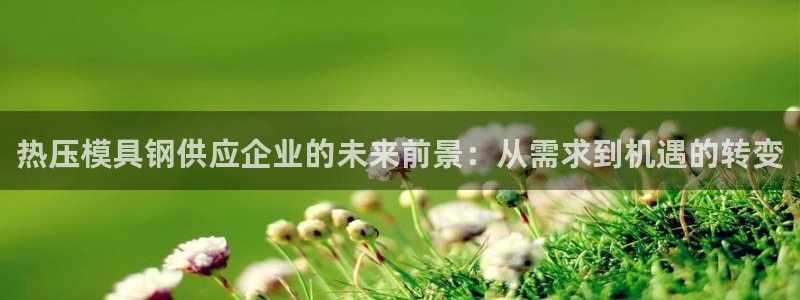 易倍下载：热压模具钢供应企业的未来前景：从需求到机遇的转