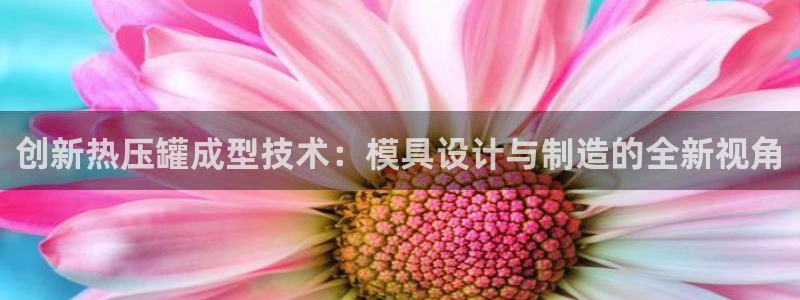 易倍单词登录网站：创新热压罐成型技术：模具设计与制造的全