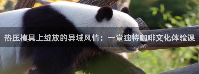 emc易倍老板：热压模具上绽放的异域风情：一堂独特咖啡文
