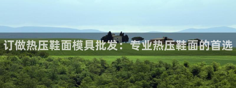 易倍易趣网：订做热压鞋面模具批发：专业热压鞋面的首选