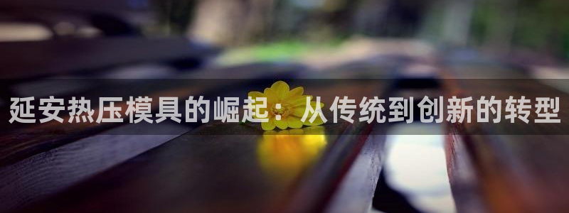 易倍单词平台：延安热压模具的崛起：从传统到创新的转型