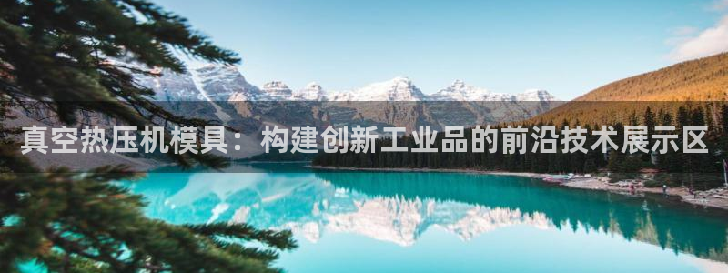 emc易倍是黑台子吗：真空热压机模具：构建创新工业品的前