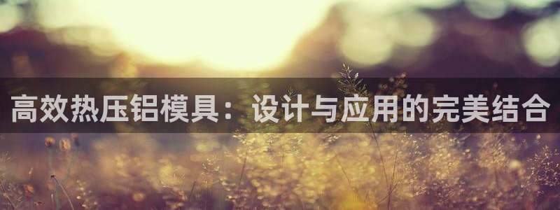 Emc易赔体育：高效热压铝模具：设计与应用的完美结合