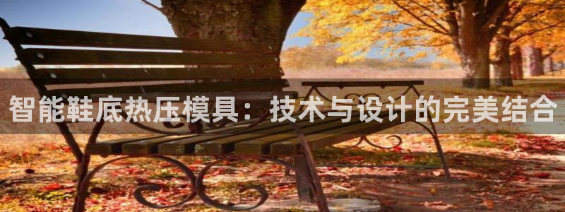 易倍企业管理软件：智能鞋底热压模具：技术与设计的完美结合
