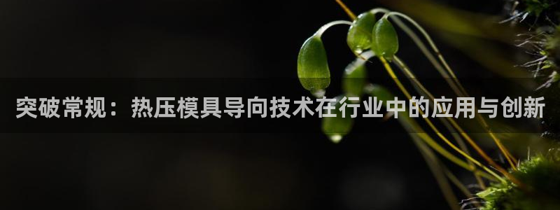 易倍app官网下载：突破常规：热压模具导向技术在行业中的