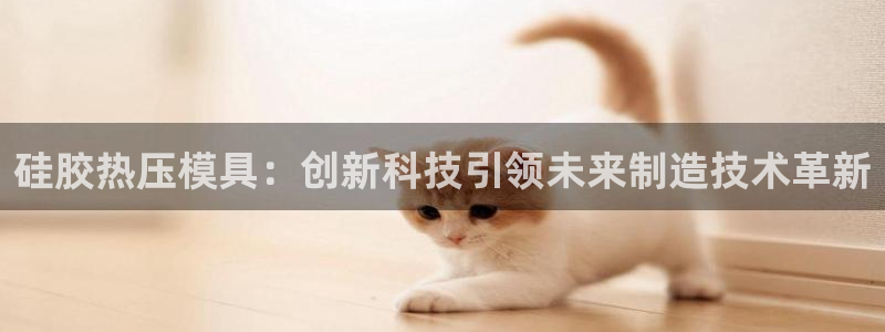 易倍单词登录平台：硅胶热压模具：创新科技引领未来制造技术