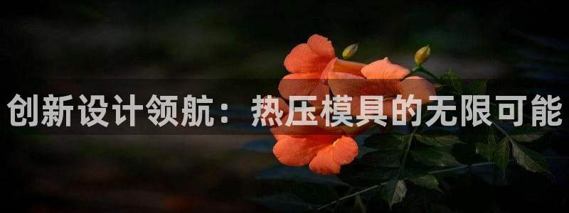 易倍纤多少钱：创新设计领航：热压模具的无限可能