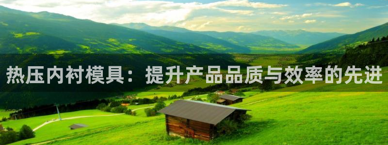易倍网络技术有限公司是干嘛的：热压内衬模具：提升产品品质