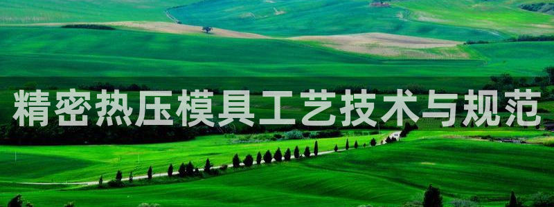 易倍申价格是多少：精密热压模具工艺技术与规范