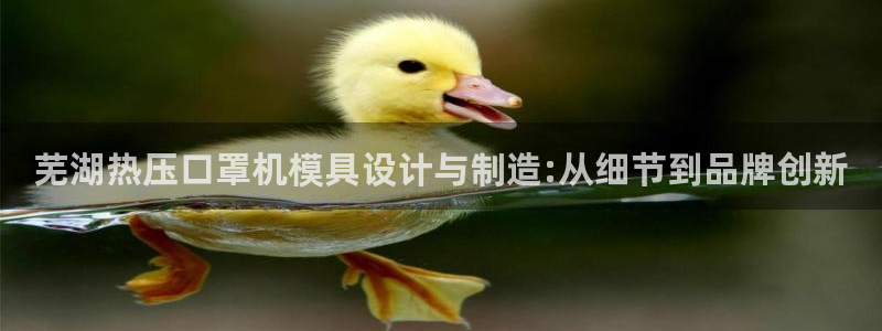 易倍达怎么样：芜湖热压口罩机模具设计与制造:从细节到品牌