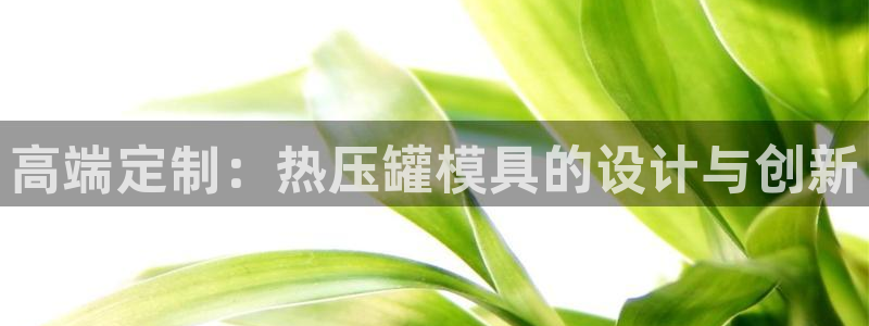 emcbet全站：高端定制：热压罐模具的设计与创新