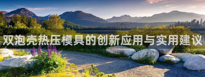 emc易倍是黑台子吗
