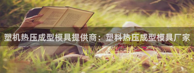 emc易倍ios官网：塑机热压成型模具提供商：塑料热压成