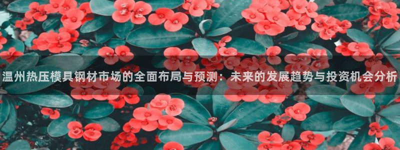 易倍电竞安装教程：温州热压模具钢材市场的全面布局与预测：