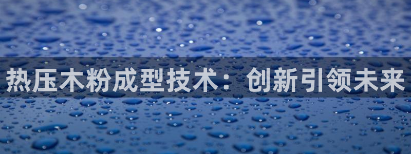 易倍申多少钱一盒：热压木粉成型技术：创新引领未来