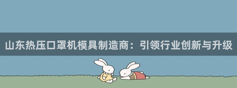 易倍网络技术有限公司是干嘛的：山东热压口罩机模具制造商：
