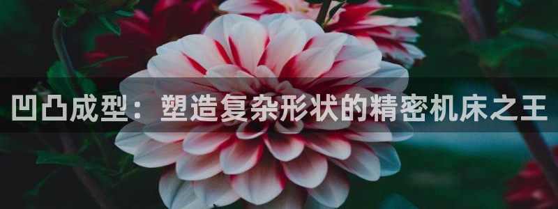 易倍全站：凹凸成型：塑造复杂形状的精密机床之王