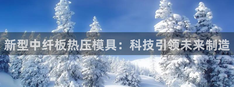 emc易倍的服务优势：新型中纤板热压模具：科技引领未来制