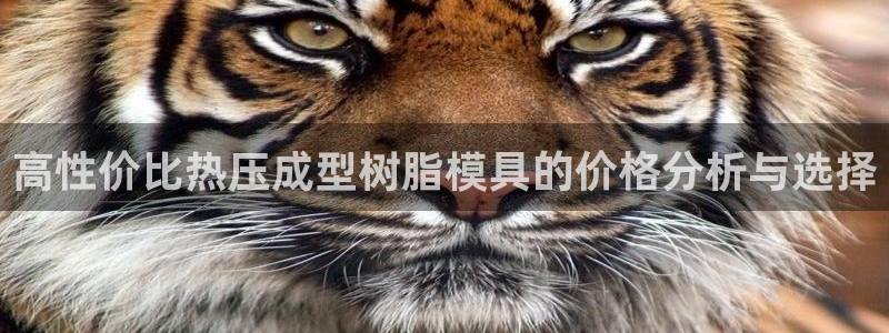易倍企业管理软件怎么样：高性价比热压成型树脂模具的价格分