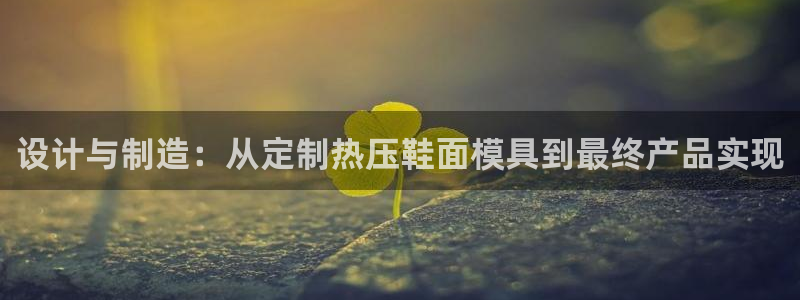 易倍纤怎么使用：设计与制造：从定制热压鞋面模具到最终产品