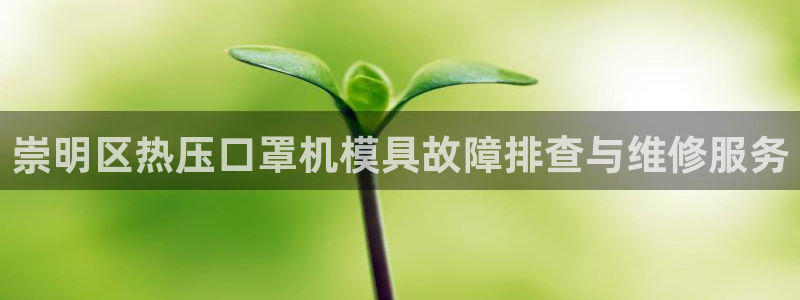 易倍单词官方网站：崇明区热压口罩机模具故障排查与维修服务